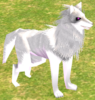 Picture of White Dire Wolf