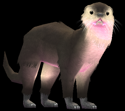 Picture of Otter