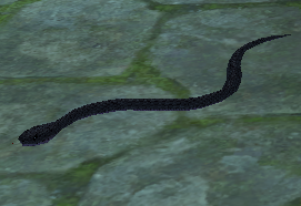 Picture of Black Snake (Hardmode)
