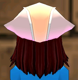 Equipped Eluned Alchemist Cap viewed from the back
