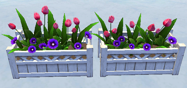Building preview of Homestead Tulip and Morning Glory Flower Box