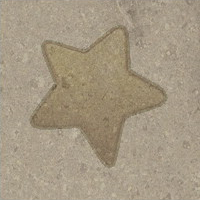 Star fossil.png
