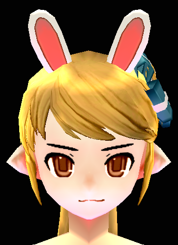 Tea Party Rabbit Wig Equipped Front.png