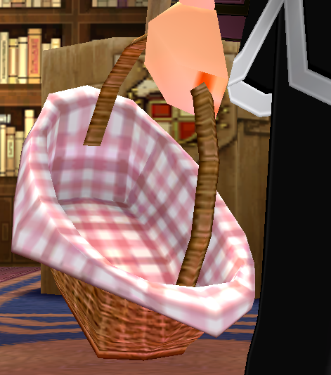 Egg Basket Equipped.png