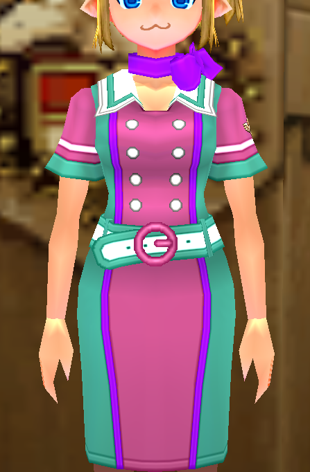 Equipped Flight Attendant Outfit viewed from the front