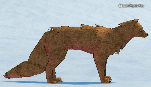 Brown Physis Fox.png