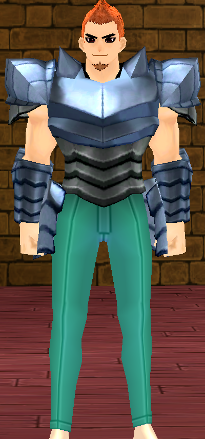 Equipped GiantMale Dragon Rider Plate Armor viewed from the front