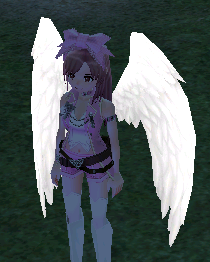 White Angel Wings Equipped Angled Night.png