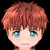Equipped Shirou Emiya Wig viewed from the front