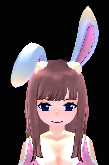 Bunny Ear Headband Equipped Front.png