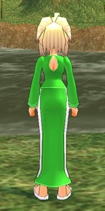 Becky Witch Dress Equipped Back.png