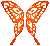 Sunset Butterfly Wings.png