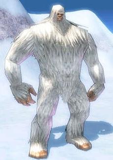 Picture of Yeti
