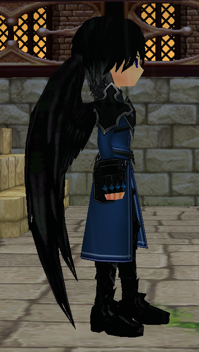 Equipped Black Holy Feather Wings viewed from the side
