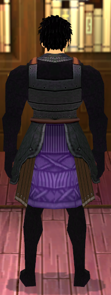 Equipped Cat Armor (For Giants) viewed from the back