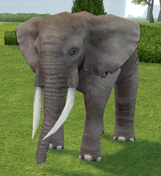 Pack Elephant.png