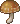 Inventory icon of Scathach Beach Hazelnut Mushroom