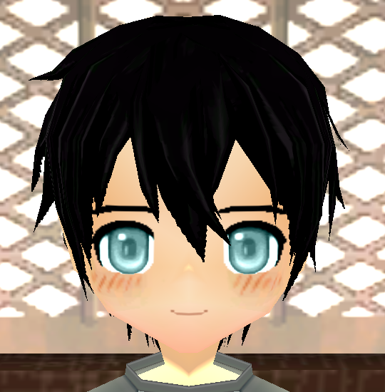 Equipped Kirito Wig (Default) viewed from the front