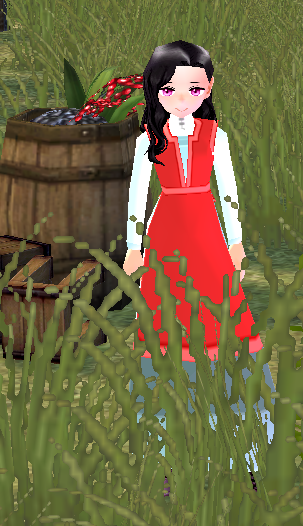 Natural Dye Helper.png