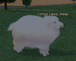 Picture of Cotton Candy Sheep (Large)