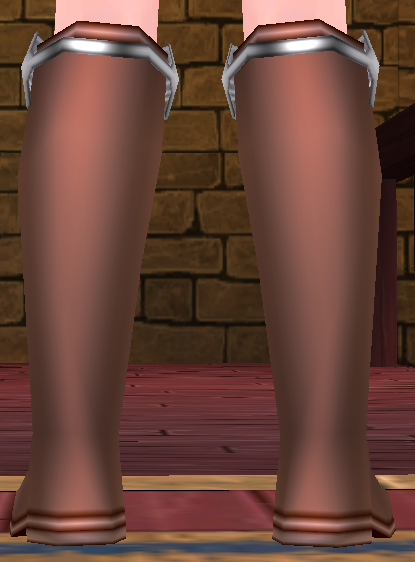 Equipped Giant Cores' Oriental Long Boots viewed from the back