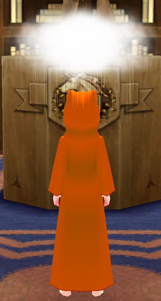 Equipped Male Frog Robe (Orange) viewed from the back with the hood up