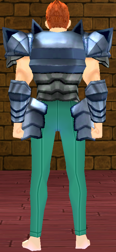 Equipped GiantMale Dragon Rider Plate Armor viewed from the back