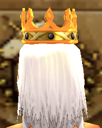 Equipped Pumpkin Crown (M) viewed from the back