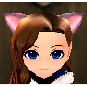 Equipped Cat Ear Headband viewed from the front
