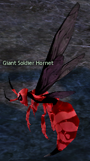 Picture of Giant Soldier Hornet