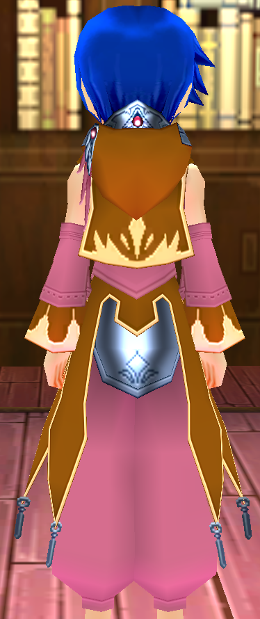 Equipped Gamyu Wizard Robe Armor (M) viewed from the back with the hood down