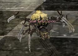 Small Sulfur Spider.jpg