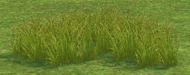 Building preview of Prairie Grass