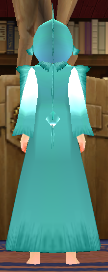 Equipped Marlin Robe viewed from the back with the hood up
