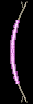 Inventory icon of Leather Long Bow (Pink Leather)