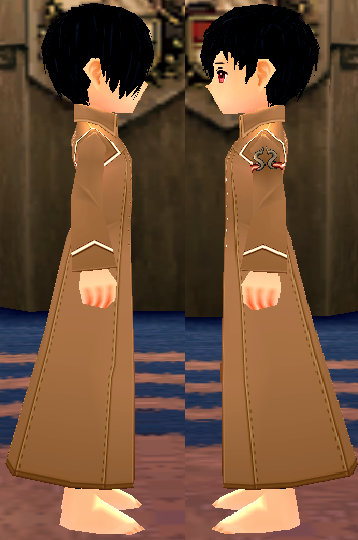 Equipped Male Royal Alchemist Robe viewed from the side