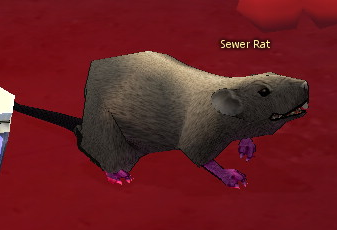 Picture of Sewer Rat