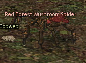 Picture of Red Forest Mushroom Spider