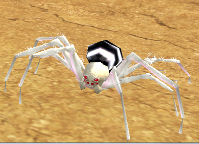 Picture of White-striped Desert Spider