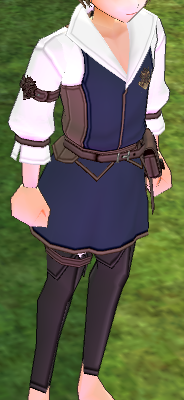 Equipped Erinn Merchants' Guild Outfit (M) viewed from an angle