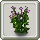 Small Chrysanthemum