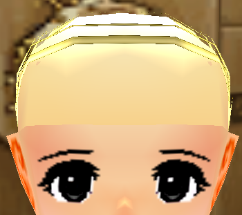 Bald_Wig_Equipped_Front.png
