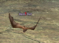 Picture of Meek Bat (Hardmode)