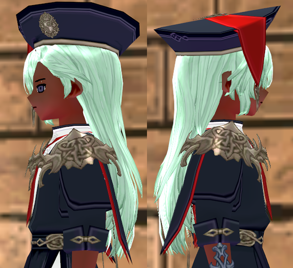 Equipped National Prestige Academy Wig and Hat (M) viewed from the side