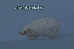 Picture of Snowfield Hedgehog