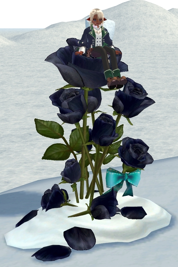 Seated preview of Black Rose Winter Chair