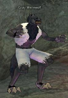 Picture of Gray Werewolf (Hardmode)