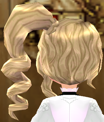 Equipped Brilluen Wig viewed from the back