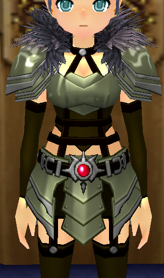 Equipped Dark Knight Armor (F) viewed from the front