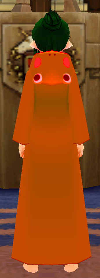 Equipped Female Frog Robe (Orange) viewed from the back with the hood down